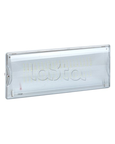 Светильник аварийного освещения SAFEWAY-40 LED EKF Proxima (dpa-202) в Муроме Светильники Pintop.ru