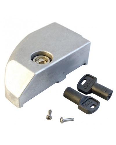 Дверца замка разблокировки BK Came 119RIBK012 в Муроме Запчасти для шлагбаумов и автоматики Pintop.ru