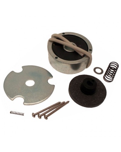 Электромагнит AMICO в сборе Came 119RID274 в Муроме Запчасти для шлагбаумов и автоматики Pintop.ru