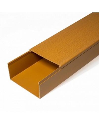 Кабель-канал бук 2-й замок в п/э 80х60 (8 м/уп) Промрукав (PR03.0205) в Муроме Огнестойкие кабельные линии Pintop.ru