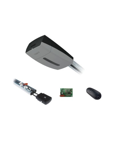 Came V10DMS3.25 KIT (до 3,25 м до 18 м2) - Комплект автоматики для секционных ворот высотой до 2,7 м на основе привода VER10DMS в Муроме Автоматизация ворот Pintop.ru