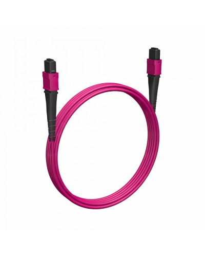 Кабельная сборка MPO(F) -MPO(F)-12 волокон 50/125 OM4, 1 m Cabeus (FOP-50-OM4-12-MPO(f)-12-MPO(f)-B-1m) в Муроме Кабельные сборки (оптические) Pintop.ru