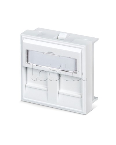 Вставка 45x45 (аналог Mosaic) для 2 модулей формата Keystone Jack Cabeus FP-45-2M в Муроме Модули Keystone Pintop.ru