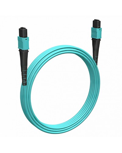 Кабельная сборка MPO(F) -MPO(F)-12 волокон 50/125 OM3, 2 m Cabeus (FOP-50-OM3-12-MPO(F)-12-MPO(F)-B-2m) в Муроме Кабельные сборки (оптические) Pintop.ru