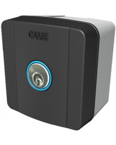 Ключ-выключатель накладной Came 806SL-0010 в Муроме Автоматизация ворот Pintop.ru