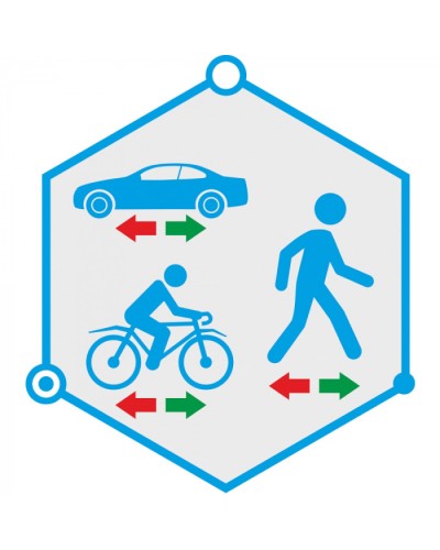 ПО детектор движения в запрещенном направлении TRASSIR Direction Detector в Муроме Системы видеонаблюдения Pintop.ru