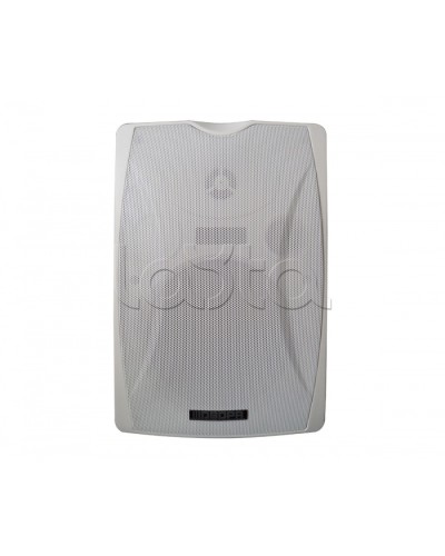 IP-громкоговоритель DSPPA POE-6463W в Муроме Система оповещения и трансляции Dsppa Pintop.ru