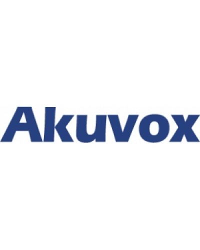IP монитор (интерком-панель) Akuvox C313W_V2 в Муроме Абонентские IP устройства Pintop.ru