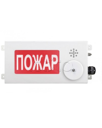 Табло светозвуковое взрывозащищенное Спектрон ТСЗВ-Exm-М-Прометей-МИНИ 220В в Муроме Оповещатели Ex Pintop.ru