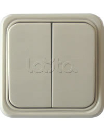 Выключатель двухклавишный открытой установки Экопласт, схема 5, (бежевый) в Муроме Розетки компьютерные и телефонные Pintop.ru