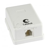 Розетка телефонная RJ-12(6P4C), одинарная, внешняя, белая Cabeus WS-6P4C-TEL-1