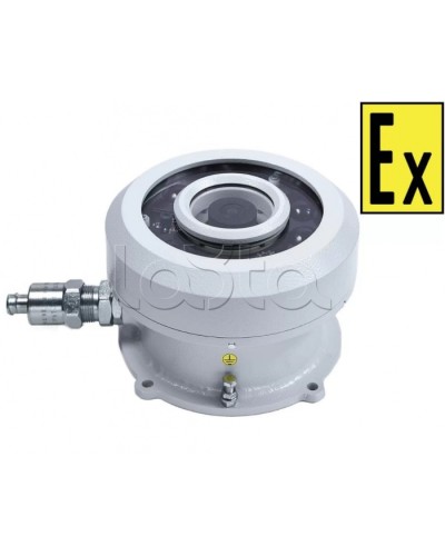 Видеокамера взрывозащищенная Компания СМД Орион МК ВК FishEye-Н в Муроме Взрывозащищенные камеры Pintop.ru