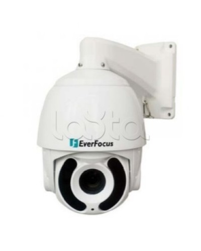 Камера видеонаблюдения поворотная купольная EverFocus EPA-6236 в Муроме Аналоговые камеры Pintop.ru