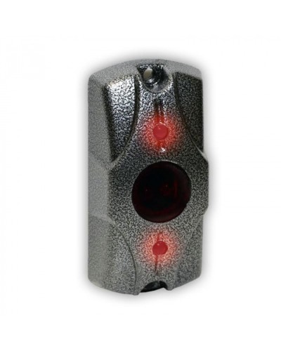 Олевс ЦИКЛОП ИК серебряный антик в Муроме Электромагнитные замки Pintop.ru