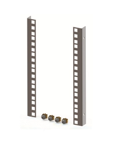 Направляющие для шкафов 9U (2 шт/уп.) TLK TLK-VNP2-9U в Муроме Полки для шкафов и стоек Pintop.ru