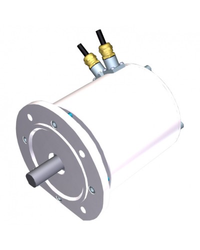 Электродвигатель FROG-MS Came 119RIA081 в Муроме Запчасти для шлагбаумов и автоматики Pintop.ru