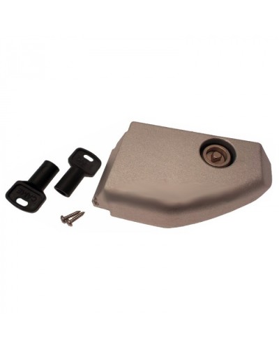 Дверца разблокировки с замком BX Came 119RIBX008 в Муроме Запчасти для шлагбаумов и автоматики Pintop.ru