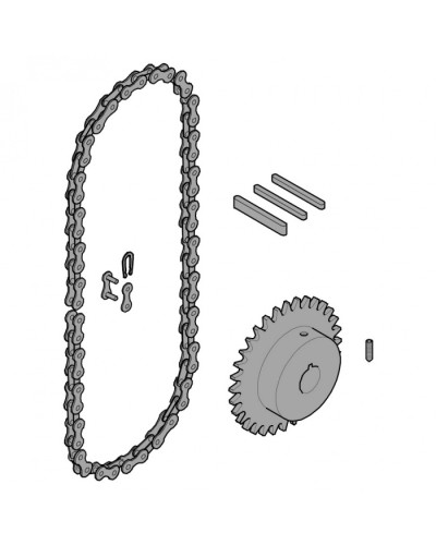 Передающая система (цепь и звездочки) C005 Came 119RICX016 в Муроме Запчасти для шлагбаумов и автоматики Pintop.ru