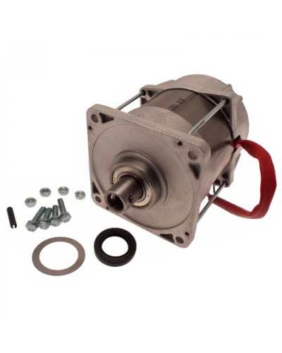 Электродвигатель FERNI Came 119RID087 в Муроме Запчасти для шлагбаумов и автоматики Pintop.ru