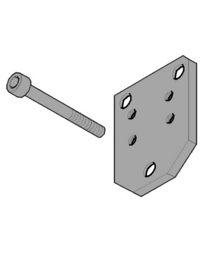 Пластина монтажная FLEX Came 119RID143 в Муроме Запчасти для шлагбаумов и автоматики Pintop.ru
