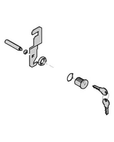 Замок дверцы G4040 G4041 Came 119RIG176 в Муроме Запчасти для шлагбаумов и автоматики Pintop.ru