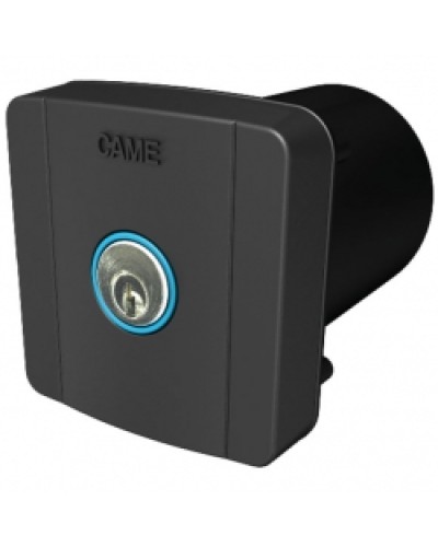 Ключ-выключатель встраиваемый Came 806SL-0020 в Муроме Запчасти для шлагбаумов и автоматики Pintop.ru