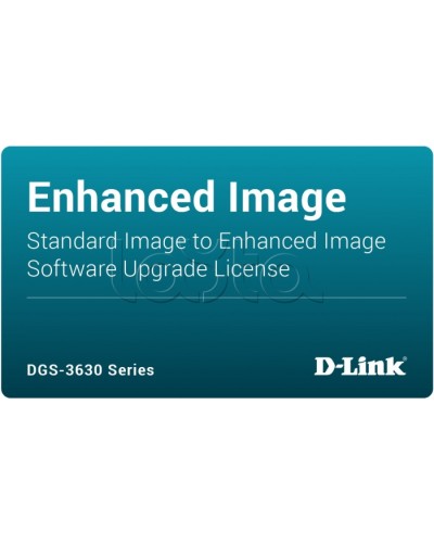 ПО D-Link DGS-3630-28TC-SE-LIC в Муроме Беспроводное оборудование Pintop.ru