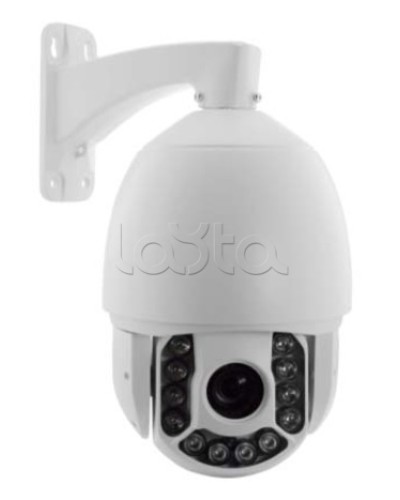 IP-камера видеонаблюдения купольная EverFocus ACE-ATE2033 в Муроме IP-камеры Pintop.ru