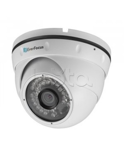 IP-камера видеонаблюдения купольная EverFocus ACE-IAV30 в Муроме IP-камеры Pintop.ru