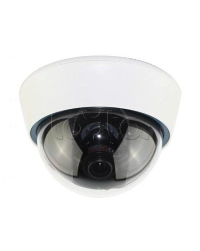 IP-камера видеонаблюдения купольная EverFocus ACE-IOV20A в Муроме IP-камеры Pintop.ru