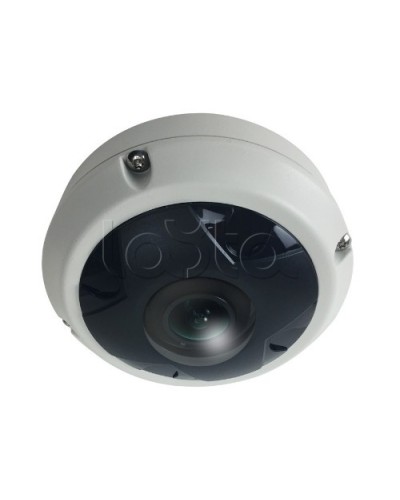 IP-камера видеонаблюдения купольная EverFocus ACE-KU89F в Муроме IP-камеры Pintop.ru