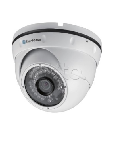 IP-камера видеонаблюдения уличная купольная EverFocus EBN-268 в Муроме IP-камеры Pintop.ru