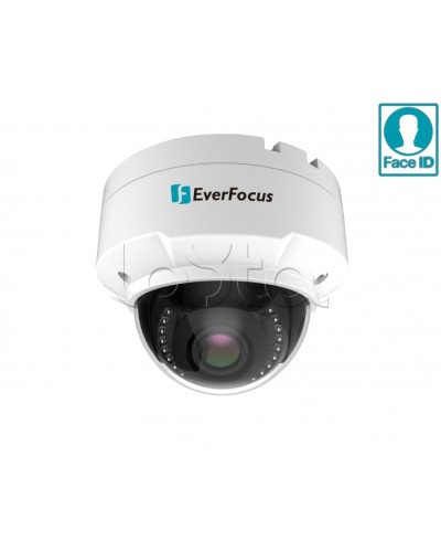 IP-камера видеонаблюдения купольная EverFocus EHN-2550 в Муроме IP-камеры Pintop.ru