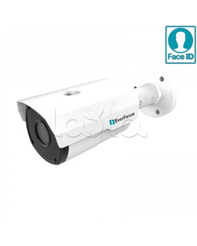 IP-камера видеонаблюдения в стандартном исполнении EverFocus EZN-2850 в Муроме IP-камеры Pintop.ru