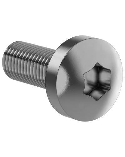 Винт М6х16 IEK (FO-00D-VTORX-M6X16-020) в Муроме Аксессуары для стоек и шкафов Pintop.ru