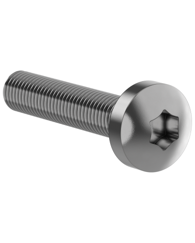 Винт М6х30 IEK (FO-00D-VTORX-M6X30-020) в Муроме Аксессуары для стоек и шкафов Pintop.ru
