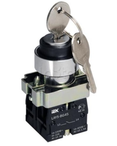 Переключатель LAY5-BG45 на 2 положения с ключом без фиксации IEK BSW80-BG-2-K02 в Муроме Аксессуары для стоек и шкафов Pintop.ru