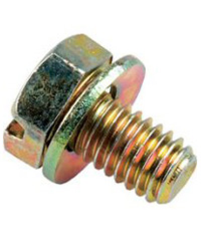 Винт с шайбой М6х10мм TH Legrand 036775 в Муроме Крепеж Pintop.ru