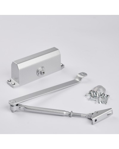 Доводчик R-Lock RL-DCM-EN3-00S в Муроме Доводчики Pintop.ru