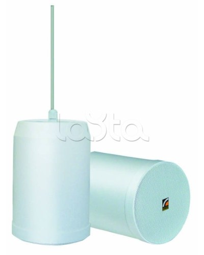 Громкоговоритель встраиваемый ROXTON SP-20T в Муроме Система оповещения и трансляции Roxton Pintop.ru