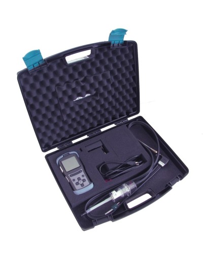 Газоанализатор Seitron CHEMIST 101 в Муроме Технологические извещатели Pintop.ru