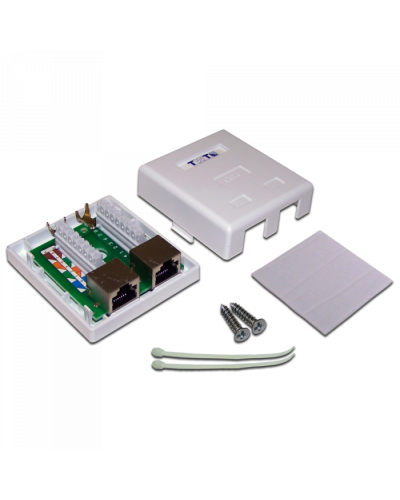 Настенная розетка, 2 порта RJ-45 категории 6, STP, белая TWT (TWT-SM2-4545/S6-WH) в Муроме Розетки компьютерные и телефонные Pintop.ru