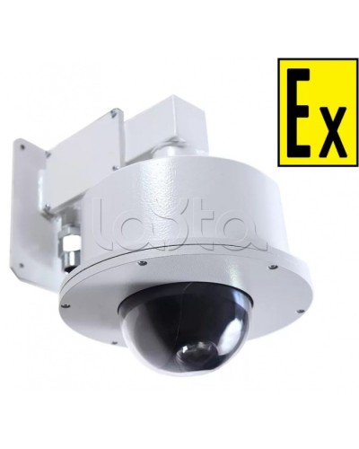 Видеокамера взрывозащищенная Компания СМД Орион МК PTZ- Н-220В в Муроме Взрывозащищенные камеры Pintop.ru