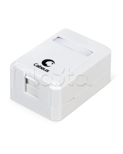 Корпус внешней настенной розетки на 1 Keystone Cabeus MB-1 в Муроме Дополнительное оборудование для сетей Pintop.ru