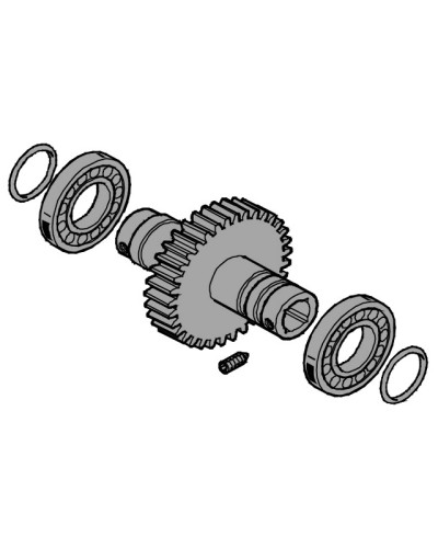 Вал выходной EMEGA Came 119RIE062 в Муроме Запчасти для шлагбаумов и автоматики Pintop.ru