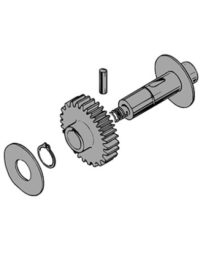 Вал в сборе C100 Came 119RIC011 в Муроме Запчасти для шлагбаумов и автоматики Pintop.ru