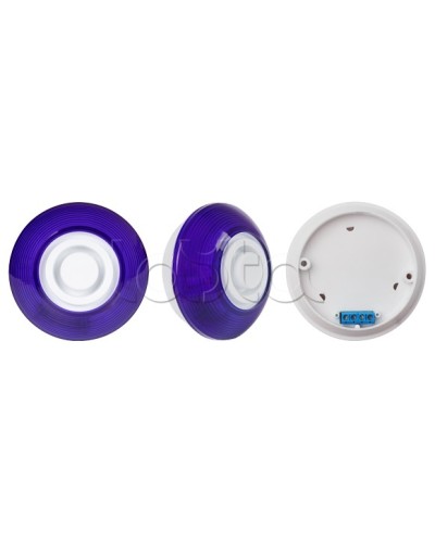 Оповещатель комбинированный SLT Марс 12-КП (строб, син) в Муроме Оповещатели Pintop.ru