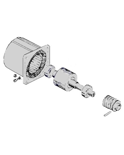 Электродвигатель С-100 Came 119RIC052 в Муроме Запчасти для шлагбаумов и автоматики Pintop.ru