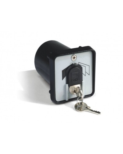 Ключ-выключатель с защитой цилиндра, встраиваемый Came 001SET-K в Муроме Запчасти для шлагбаумов и автоматики Pintop.ru