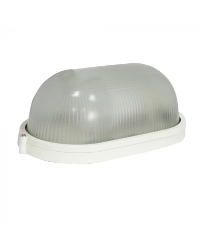 Светильник Бастион Skat LED-220 E27 IP54 в Муроме Светильники Pintop.ru